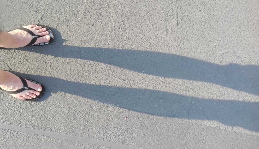 Die Anatomie des Reimes