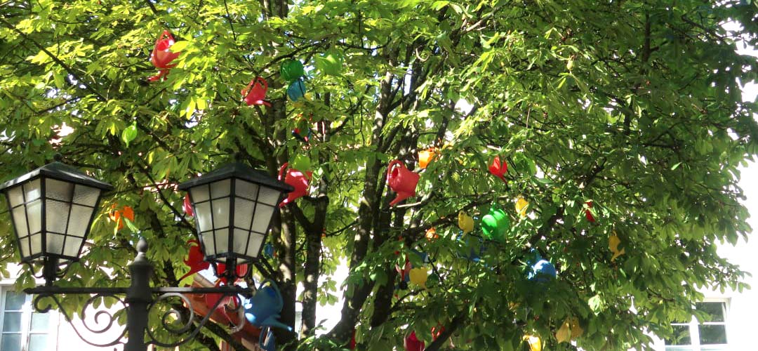 Bunte Früchte