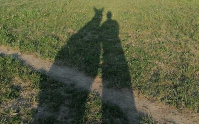 Unter Eseln